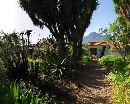 El Oasis אל פאסו