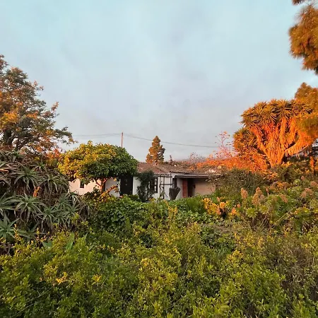 El Oasis אל פאסו