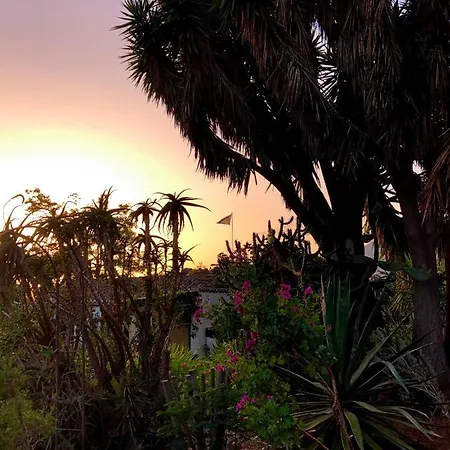 Guest house El Oasis *