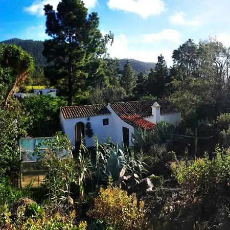 El Oasis *