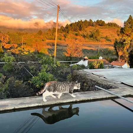 El Oasis